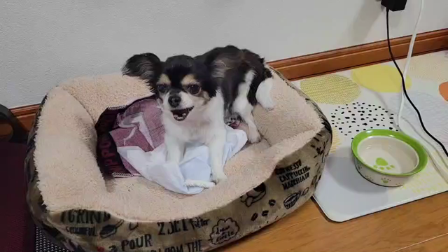 首に点滴の記事動画