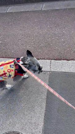 Happy Holidaysの記事動画