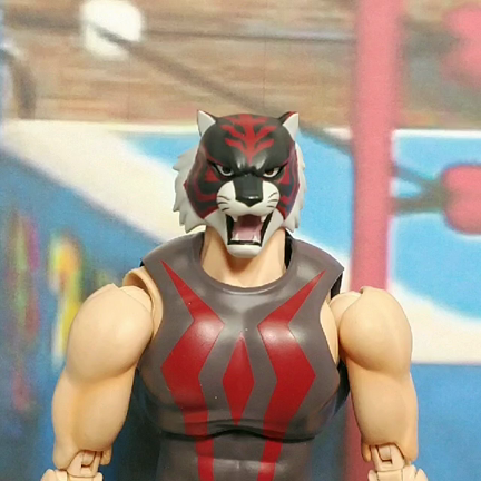 タイガー ザ ダークことブラックタイガーの正体がバレそうな映像を入手しました とみをのぶろぐ 本館