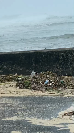 台風❗(*;ﾟ;艸;ﾟ;)　その後❗の記事動画