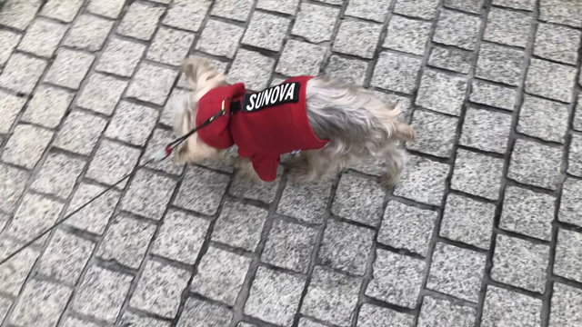 ドキドキの血液検査の記事動画