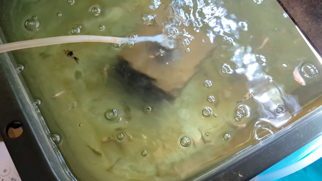 本日の営業の記事動画