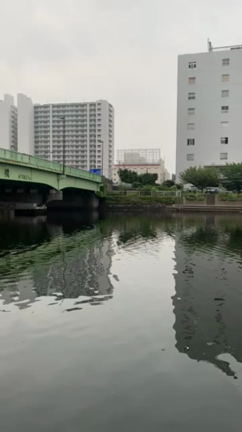 【ギル五反田店・神田店】マギーガーラ・コノシロパターン対応オリカラ再入荷！の記事動画