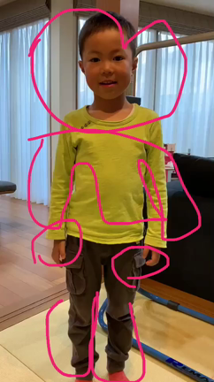 オンラインレッスンと動画添削レッスンの記事動画