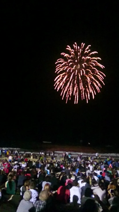 Sea fireの記事動画