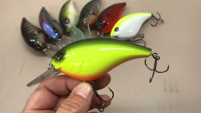 おっきいクランク 進化の過程の記事動画