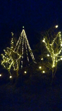 merryChristmas？の記事動画