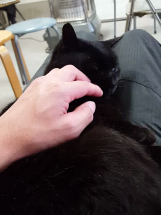 ぬくもりの記事動画