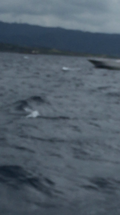 満喫！の記事動画