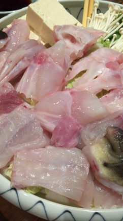 河豚の記事動画