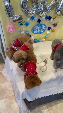 おパンツカット連合広島のメンバーさんと一緒に〜♪の記事動画