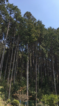 54才✨魂が躍る時の記事動画