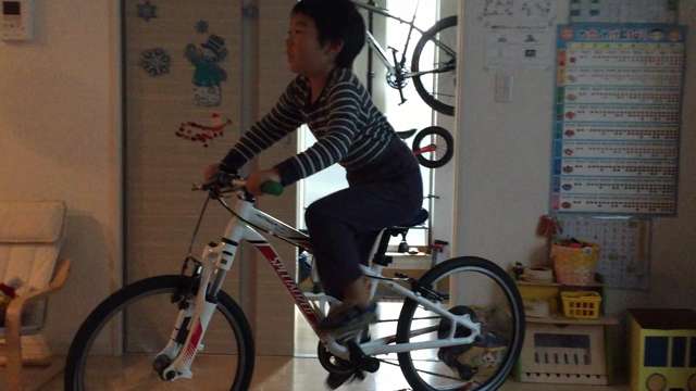 3本ローラーは持久走に役立つのか？の記事動画