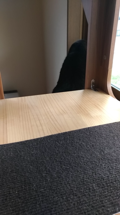 ニャルソックの記事動画