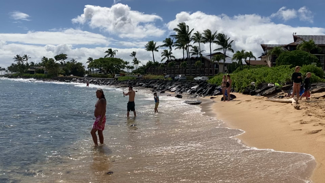 カウアイ島6日目！の記事動画