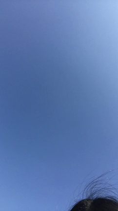 ☆てんき☆の記事動画