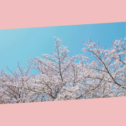 オンラインで説明会の記事動画