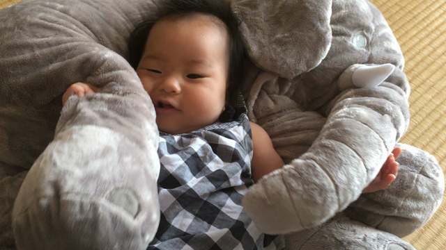 baby♡の記事動画