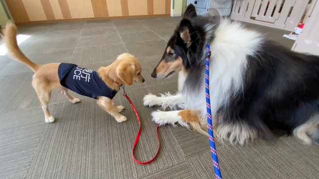 9月のOlaの記事動画