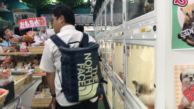 潜入の記事動画