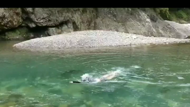 明日は配信の日ですの記事動画