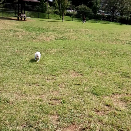 SW最終日☆の記事動画