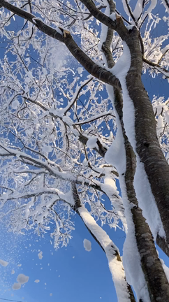 いいお天気！の記事動画