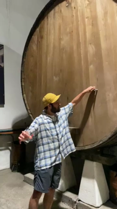 Cider | スペインのシドラを専用グラスで！の記事動画