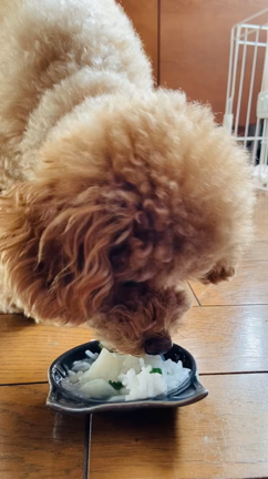 七草粥の記事動画