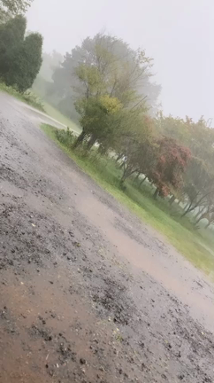 【秋キャンプ】女心と秋の空の記事動画