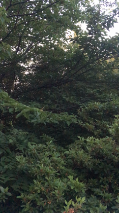 着ない服の記事動画