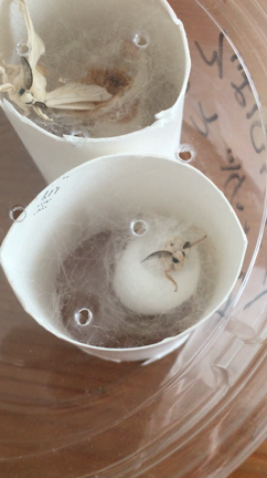 なんでやねん！！の記事動画