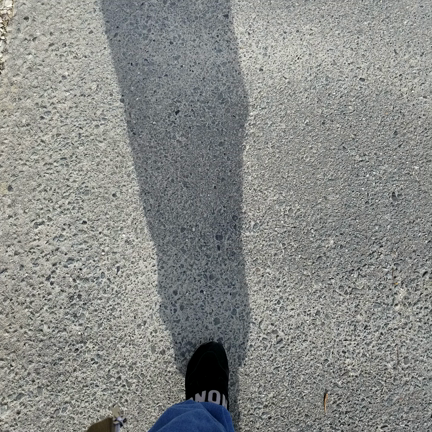 自転車、頑張ってます！の記事動画