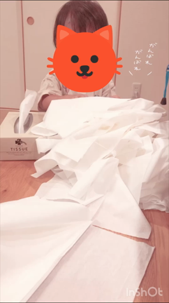 ティッシュ全出し常習犯。の記事動画