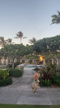 ハワイ島 フォーシーズンズフアラライ        梅田 中崎町 英会話 教室の記事動画