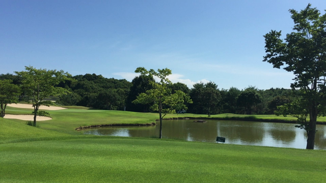 無料プレー券で〜♪の記事動画