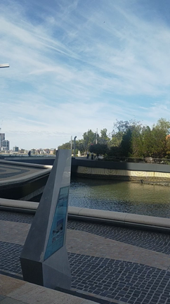 西オーストラリアから動画　まったり親子留学の記事動画