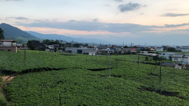 今日もお疲れ様でした。の記事動画