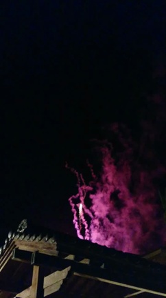 花火(^｡^)の記事動画