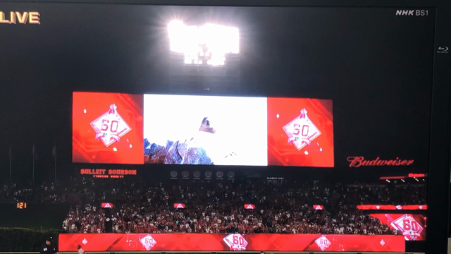 ブログ、リメイクしました❣️”映画ボヘミアン・ラプソディ  カメオ出演3人”の記事動画