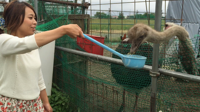 道の駅発祥の地 豊栄の記事動画