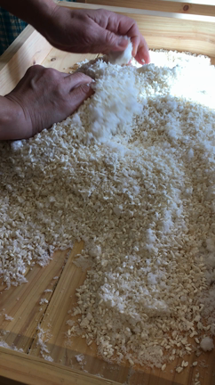 【募集】広島で『塩の講座』と『味噌つくり』ワークショップ開催します！の記事動画