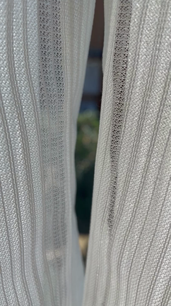 わたしはセミの記事動画