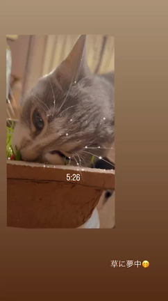 ☆喜ぶ喜ぶっ☆の記事動画