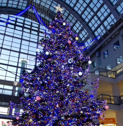クリスマスツリーの記事動画