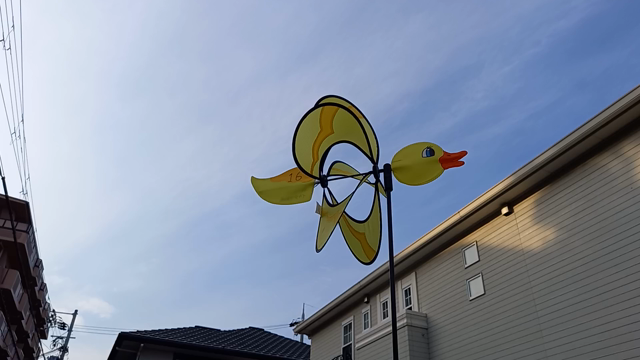 いい風が、、の記事動画