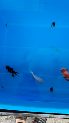 あなたは大丈夫？隠れ夏バテの記事動画