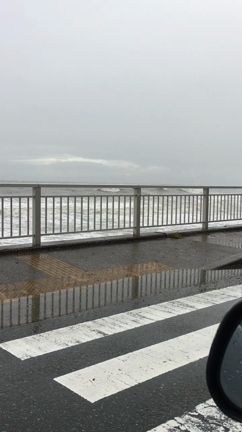 私はわたしの家庭を作って、人生enjoyしよう♪の記事動画