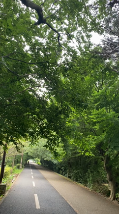 うぐいすの鳴き声の記事動画