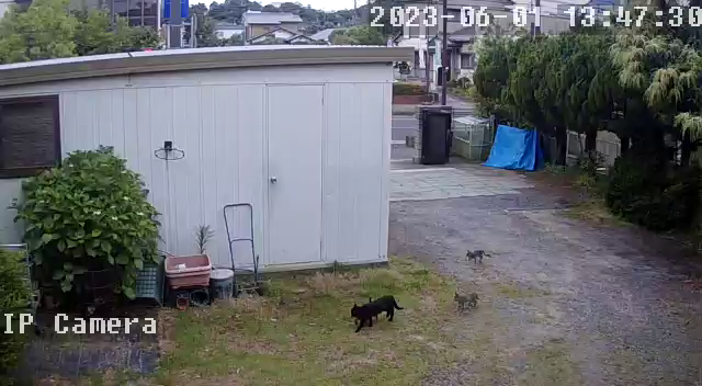 そんなに、居心地が良いのか？の記事動画